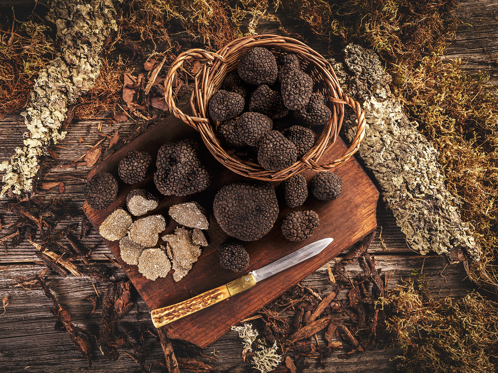 Sagra del tartufo